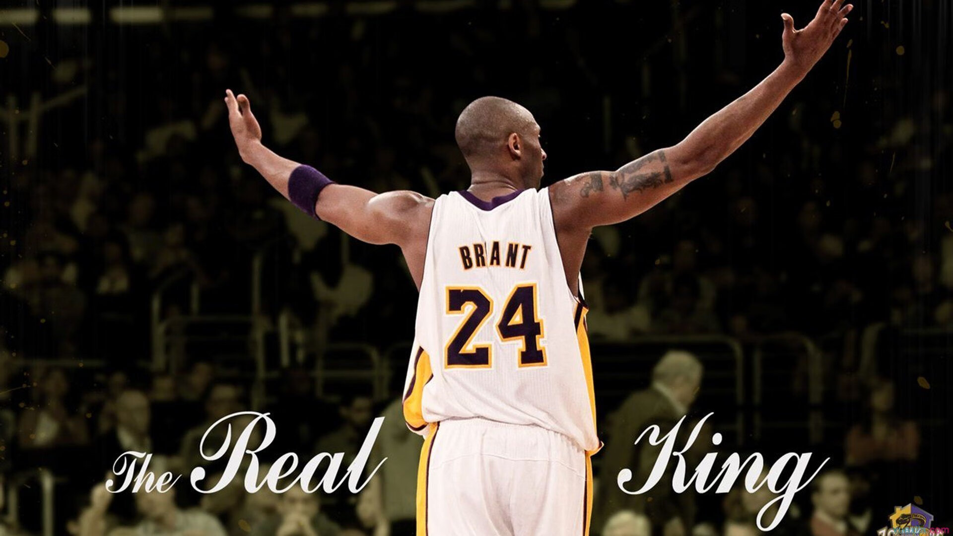 史上“最精彩”的团队配合,战术大师的杰作!,团队搭配的黄金法则